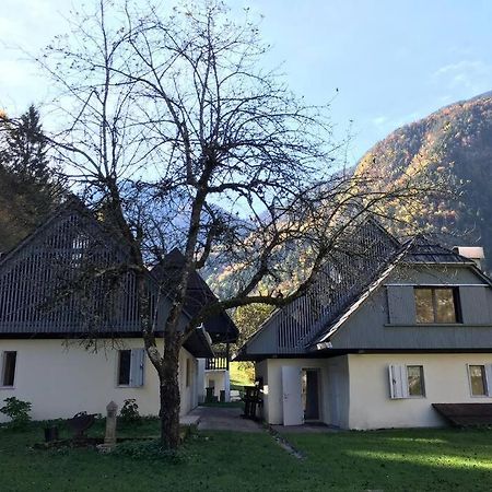 Cozy Cottage In The Heart Of The Triglav National Park 소카 외부 사진