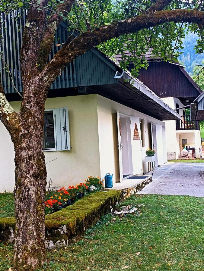 Cozy Cottage In The Heart Of The Triglav National Park 소카 외부 사진