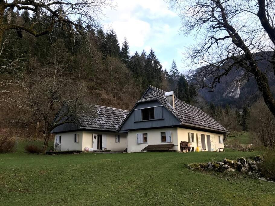 Cozy Cottage In The Heart Of The Triglav National Park 소카 외부 사진
