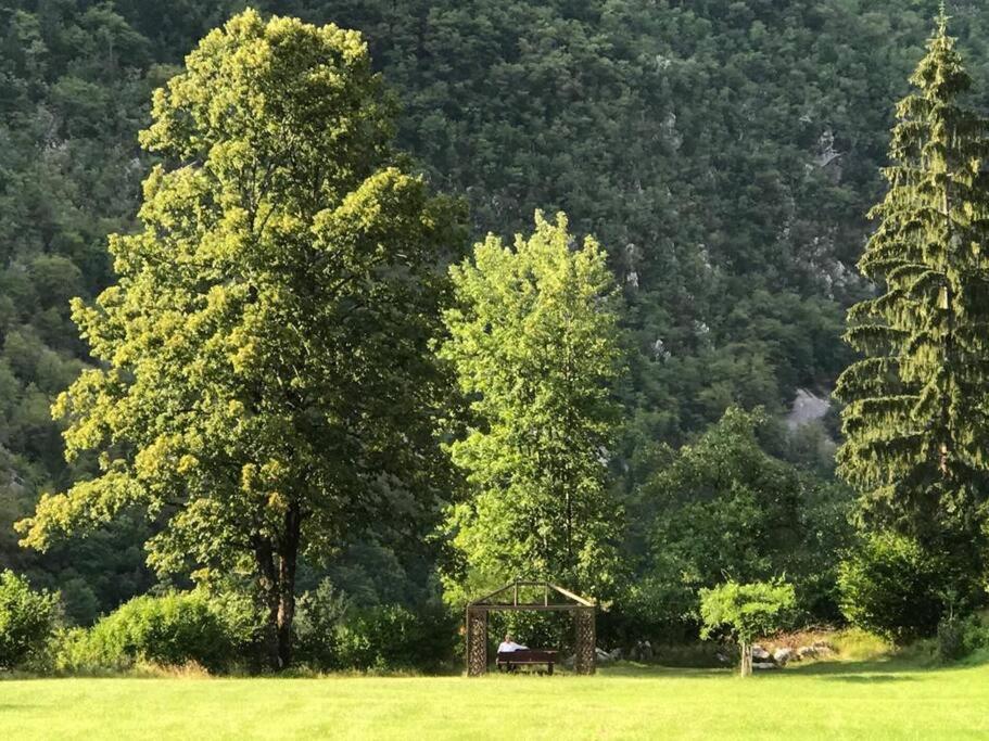 Cozy Cottage In The Heart Of The Triglav National Park 소카 외부 사진