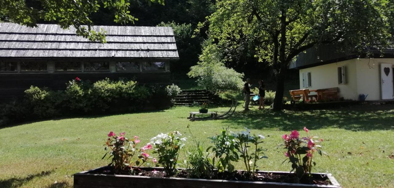 Cozy Cottage In The Heart Of The Triglav National Park 소카 외부 사진