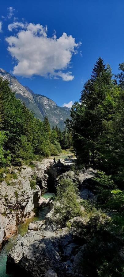 Cozy Cottage In The Heart Of The Triglav National Park 소카 외부 사진
