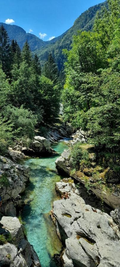 Cozy Cottage In The Heart Of The Triglav National Park 소카 외부 사진