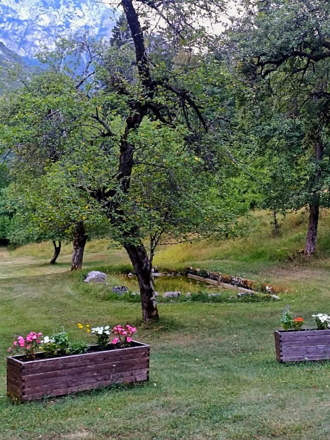 Cozy Cottage In The Heart Of The Triglav National Park 소카 외부 사진