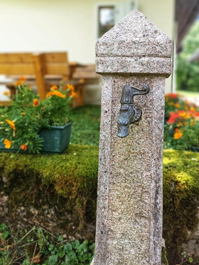 Cozy Cottage In The Heart Of The Triglav National Park 소카 외부 사진