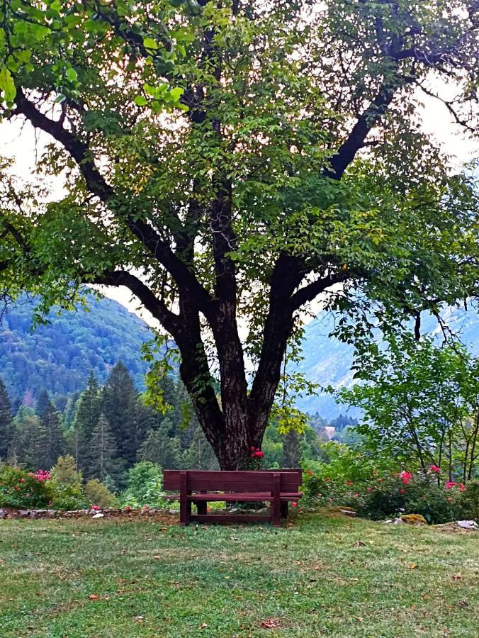 Cozy Cottage In The Heart Of The Triglav National Park 소카 외부 사진